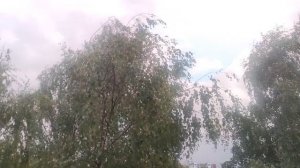 30 июля магический пасмурный прогноз погоды от волшебника в ночь на 31 июля ждите ☀️ завтра 31 июля