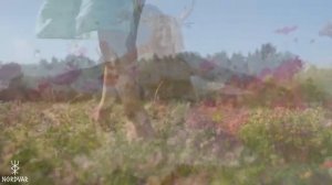BAREFOOT | Run Wild, Live Free | Nordic Folk & Old Norse