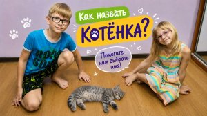 Как назвать котёнка? Помогите выбрать ему имя! 🐱❤️