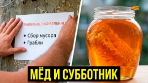 ГОТОВИМСЯ К СУББОТНИКУ + ОБЗОР ПОЛЕЗНОГО МЁДА