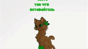 новая рубрика
