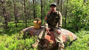 НАБРАЛ ГРИБОВ НА ЖАРЁХУ. СБОР ГРИБОЧКОВ.КАК ИСКАТЬ ПОДОСИНОВИКИ