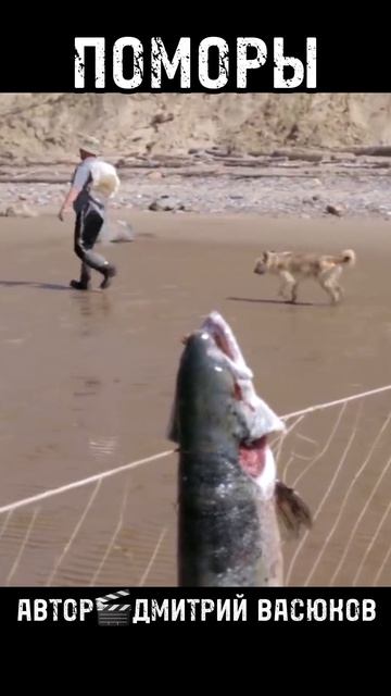 Счастливые Люди.ПОМОРЫ🎯🎣