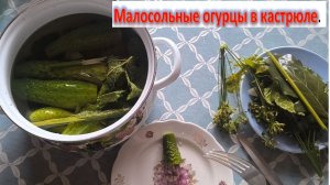 Рецепт малосольных огурцов в кастрюле: вкусных и хрустящих, можно есть уже на следующий день..