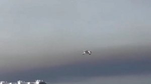 Лесные пожары охватили сразу несколько популярных среди российских туристов стран. Огонь выжигает
