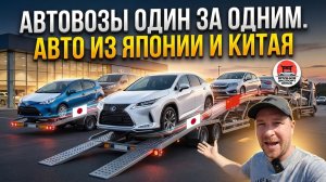 Свежий завоз авто из Японии и Кореи — автовозы идут без остановки Honda I Mazda I Suzuki I Chevrolet
