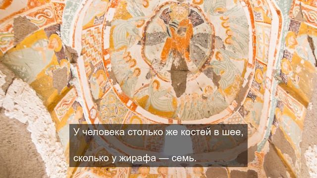 нельзя отменять шоу 4