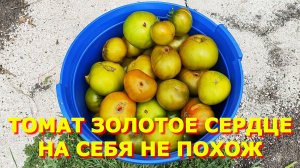 160. Думаю все получится, али нет