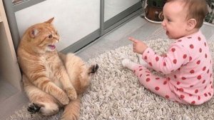 Когда ГОВОРЯЩИй кот встречает ребенка  Уморительные видео с кошкой