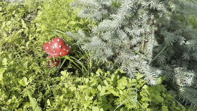 Видео 2 к заданию конкурса 