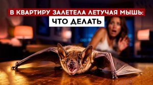 В квартиру залетела летучая мышь: что делать