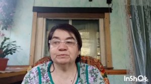 На пенсии в деревне. Прошлась по участку. Приготовила Малину на зиму