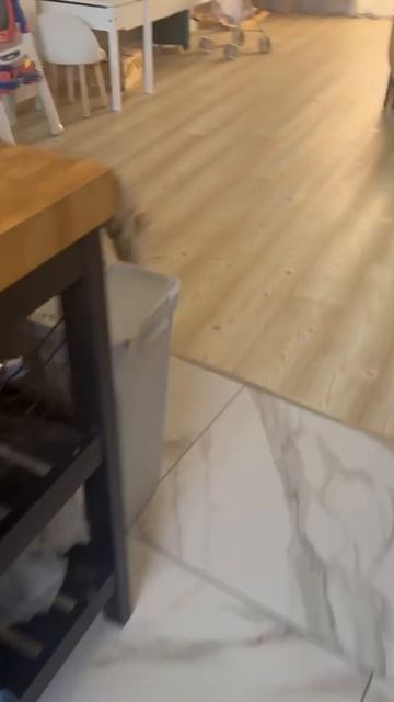 5093361716314687985