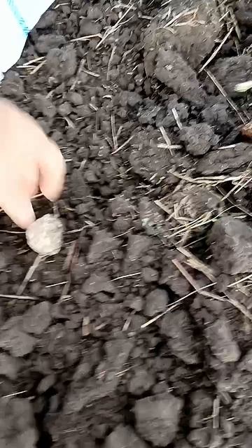 Новый поход за сердоликом🔥🔥🔥