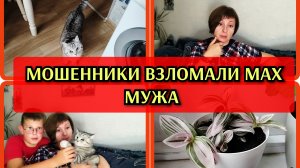 30-07-2026 Тихон хитрец🐱Действительно мошенники😡 , будьте бдительны🆘Муж приболел