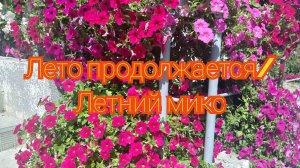 Лето продолжается/ Летний микс