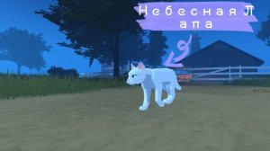 Так появилась она. Небесная Лапа ЫЫЫЫЫЫЫЫ