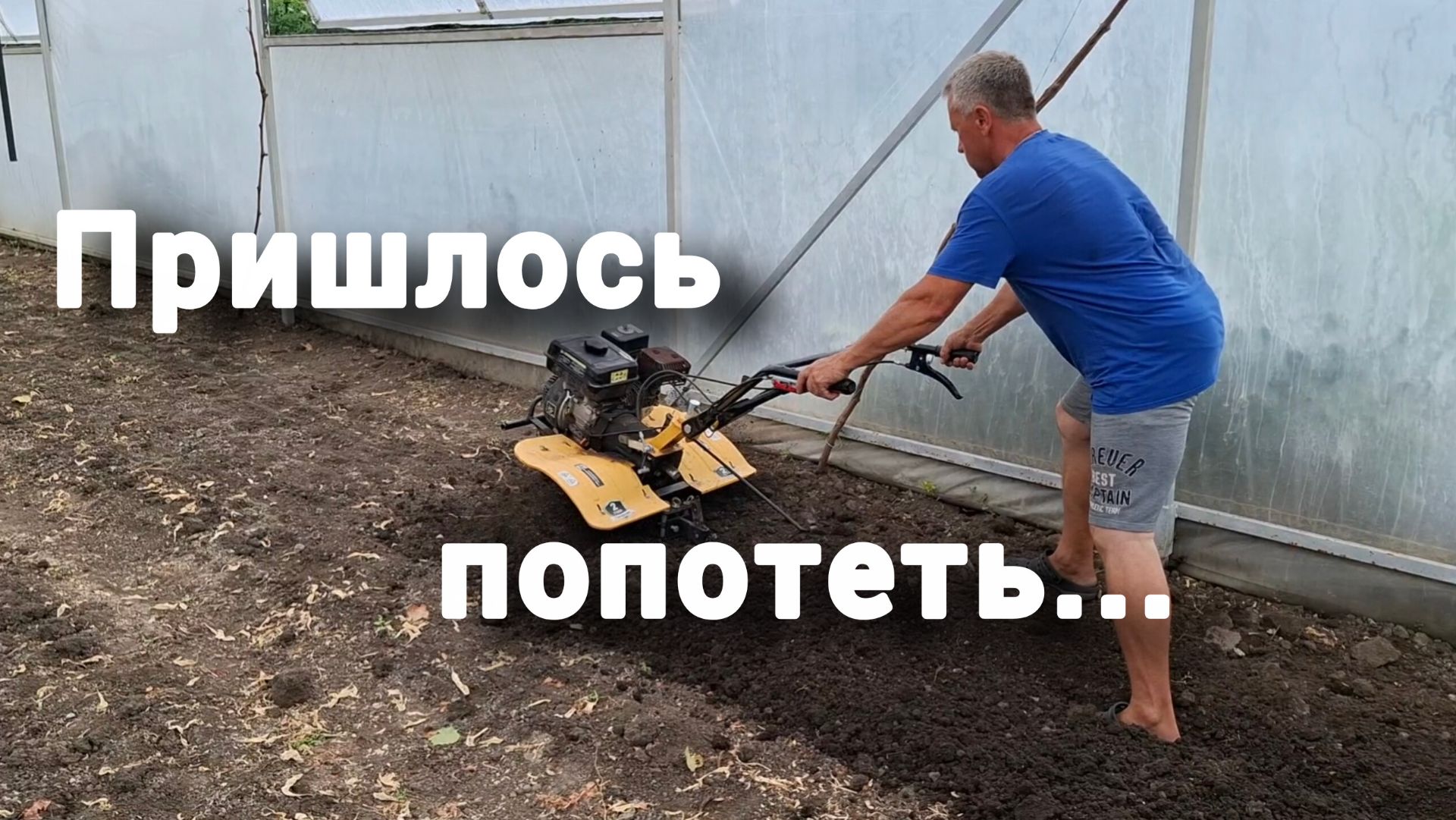 #267 Подготовка домашней теплицы оказалась не так-то проста...