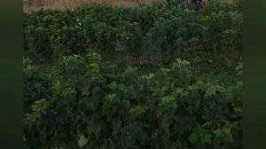 ‼️🇵🇱🔥В Польше мощный взрыв: упал неизвестный объект во время ночной атаки России по Украине, —