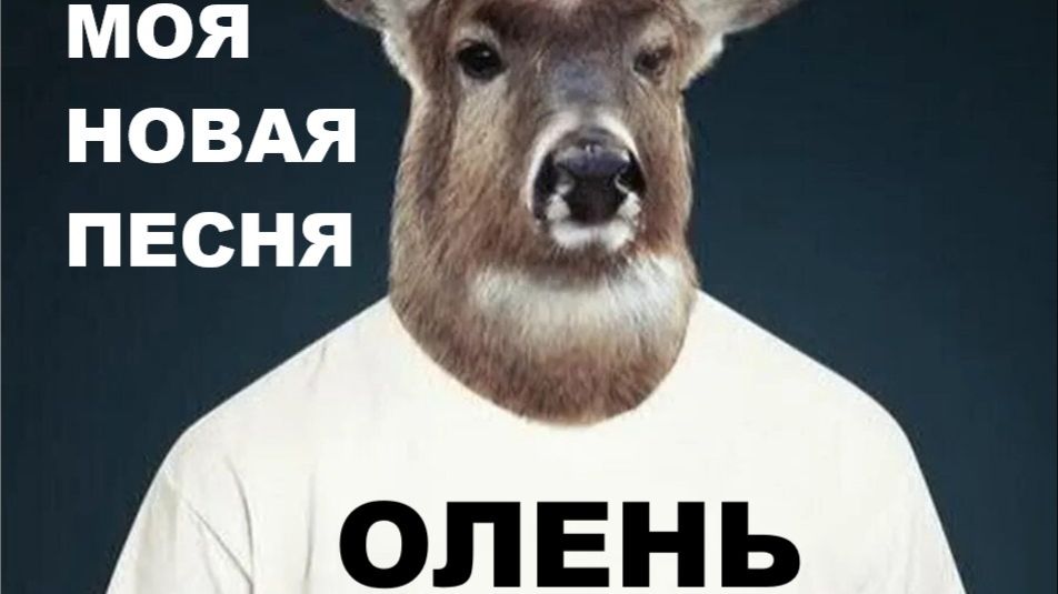 ОЛЕНЬ  // ПРИКОЛЬНАЯ ПЕСНЯ // АВТОРСКАЯ ПЕСНЯ //