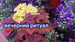 наслаждаюсь каждой минутой лета