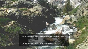 достойный человек 3