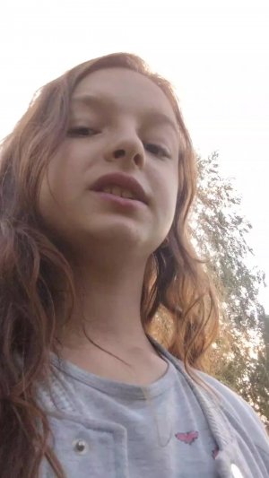 игрушки для кошек на живой природе