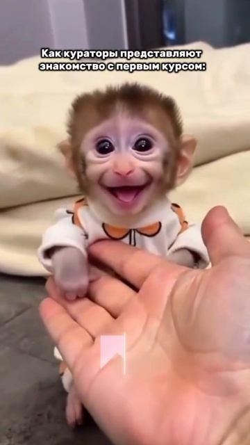 А встреча уже скоро!