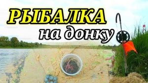 Ловля на донки осенью Рыбалка на донку