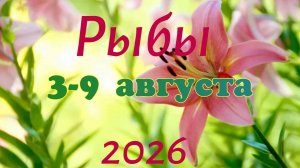 Рыбы ♓Таро- прогноз на неделю с 3 по 9 августа 🕊