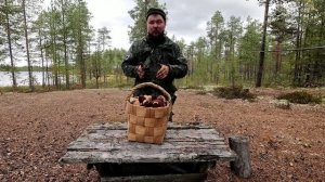 ПРОШЕЛ СЛУХ О ТОМ ЧТО БОРОВИКИ ПОШЛИ. В БОР ЗА БЕЛЫМИ. СОБИРАЮ БОРОВИКИ