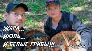 Жара... Июль... И белые грибы! 30 июля 2026