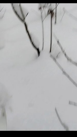 Лыжная прогулка