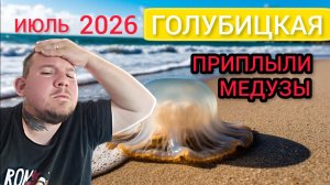 Голубицкая. УЖАС!!!Медузы сейчас!! Почему от вас это скрывают? 😮 #голубицкая #азовскоеморе