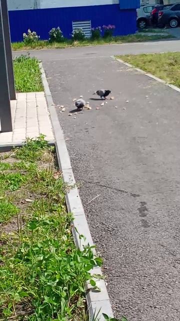 ого
