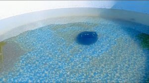 Первый опыт очистки бассейна 🏊🤽