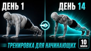10-минутная простая тренировка для начинающих дома (Никаких прыжков, без оборудования)