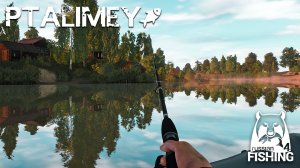 Звуки русской природы и идеального клёва🐟Русская рыбалка 4🐬Russian Fishing 4