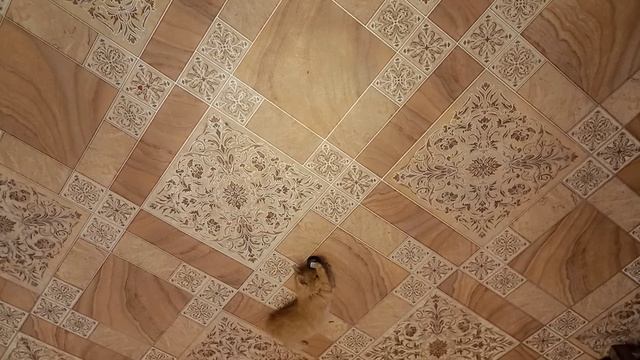 Футболист  из деревни