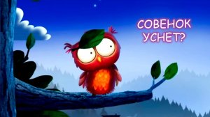 Спокойной ночи цирк ⭐🎈😽  Видео с животными перед сном