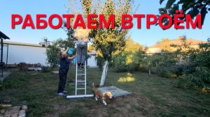 1389 Нужно срочно менять.Работаем втроём. Главное не хрюкнуть. Переезд в станицу.
