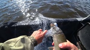 Промысловая рыбалка сетями на крайнем севере. Лицензионный лов рыбы на реке Печора. Рыбалка на сига.