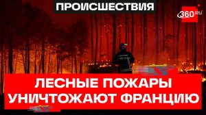 Тушили только виллы миллионеров – лесные пожары уничтожили город Ле Порж во Франции