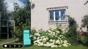 Не смейся над старушкой дед!