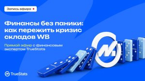 Эфир 30.07 Финансы без паники: как пережить кризис складов WB