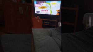 Пин смотрит  DVD диск Смешарики с новым хрумом