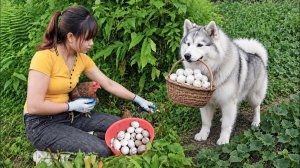 Спрятанное гнездо, полное диких яиц… Счастливый день в лесу!