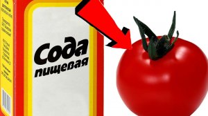 СОДА   спасатель вашего огорода! Пищевая сода   подкормка для огурцов, томатов и других растений.!!!