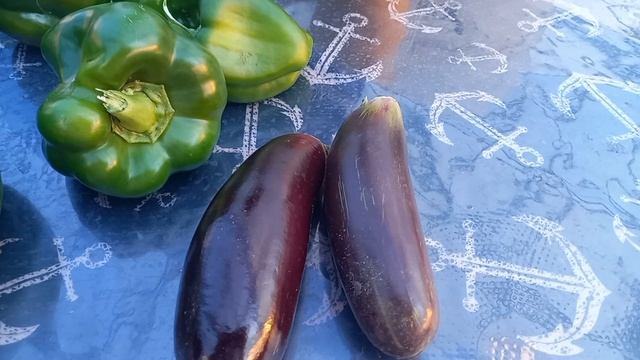 Чем занята