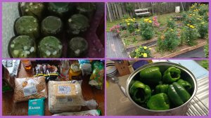 30-07-2026💥Влог💥четверг 💥купили банки💥снова огурцы 🥒комментарии